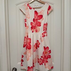 Calvin Klein Floral Dress in Red and Pink